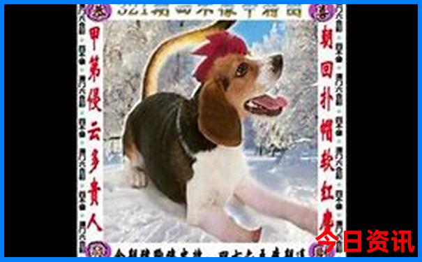 暑假广东省内去哪里旅游好玩
