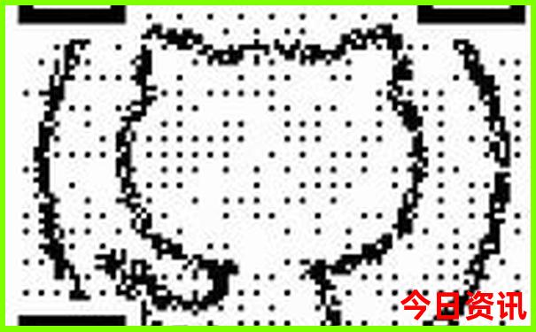 国内旅游去哪里好