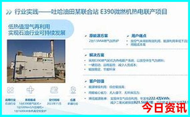 九龙心水正版免费资料